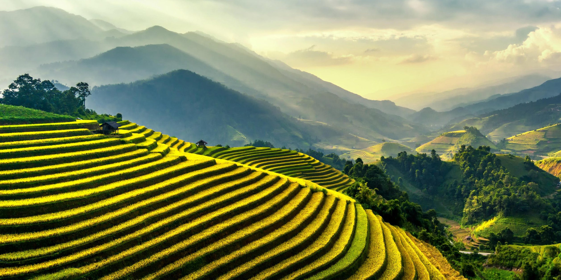 ������̬