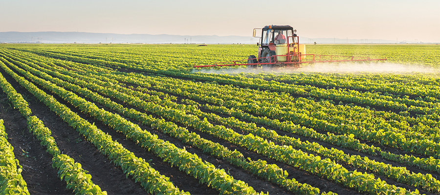 ������������Ƽ����޹�˾�ڲ���ҵ���м�ⱨ��2024��